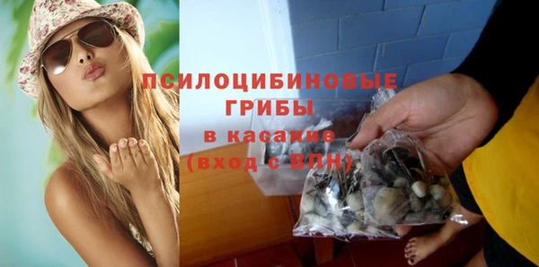 индика Балахна