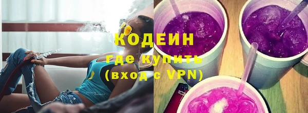 индика Балахна