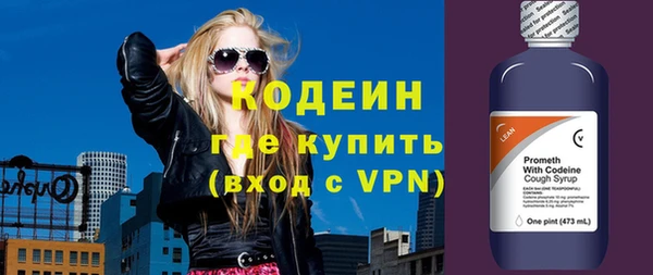 индика Балахна