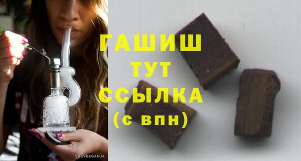 индика Балахна