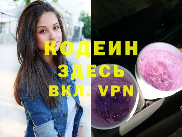индика Балахна