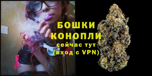 индика Балахна