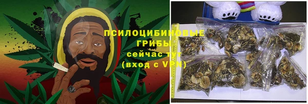 дживик Баксан