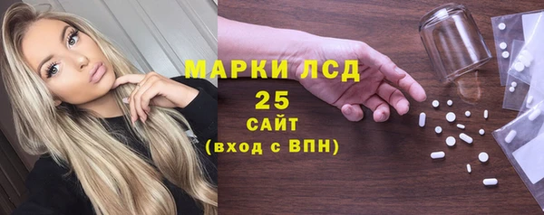 индика Балахна